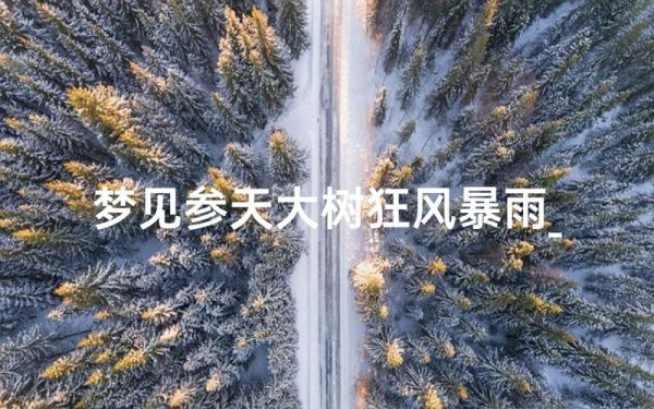 梦到暴雨是什么意思_暴雨梦境解析