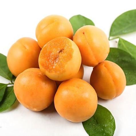 梦到杏是什么意思_梦见杏子预示什么