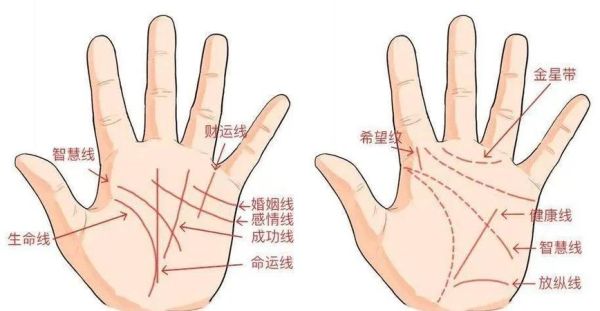 财运线多条代表什么_多条财运线好不好
