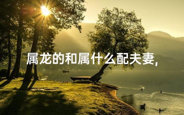 龙和什么属相最配_龙最配的属相有哪些