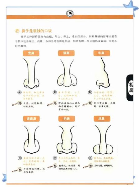 鼻梁窄财运好吗_鼻梁窄的人怎么提升财运