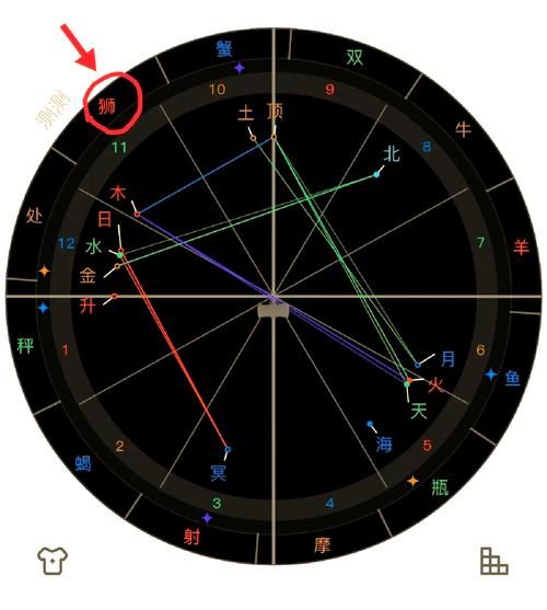 财运看十一宫_如何通过十一宫看财富运势
