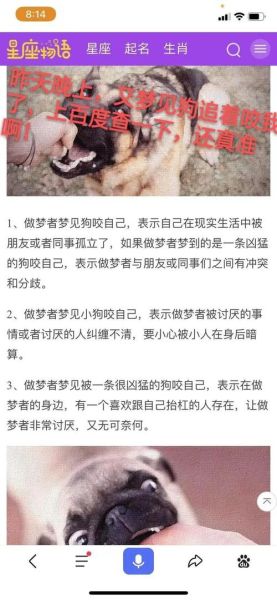 梦见狗死了_梦见狗死了是什么意思