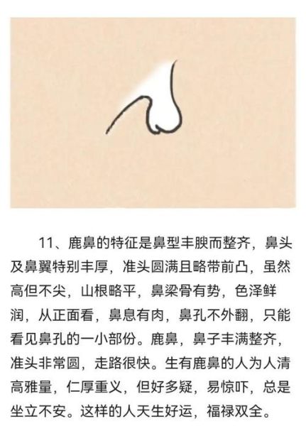鼻子主财运是真的吗_如何通过鼻子看财富运势
