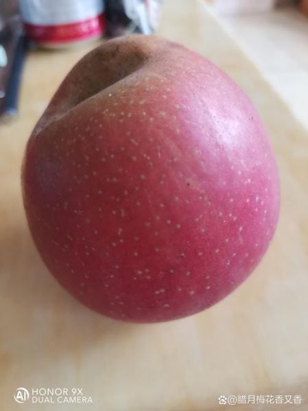 梦到分苹果是什么意思_梦见分苹果给别人好不好