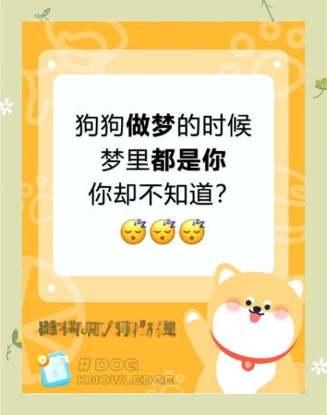 梦到一只小白狗_小白狗梦境寓意