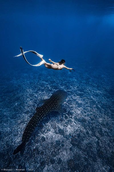 梦到潜水是什么意思_潜水梦境解析