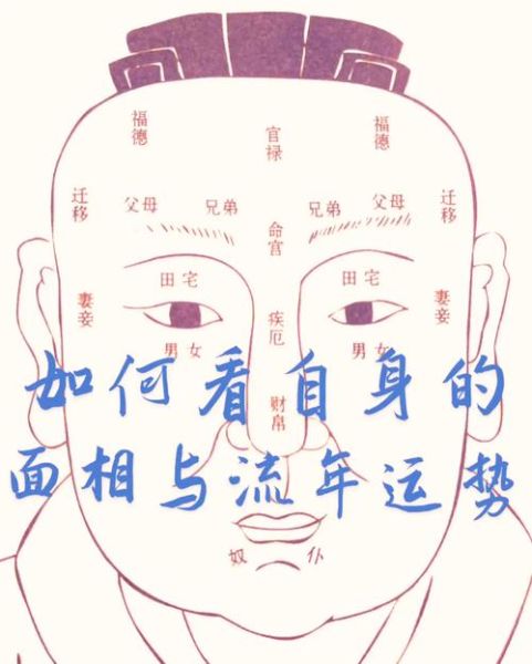 鼻梁低财运不好是真的吗_如何改善面相招财