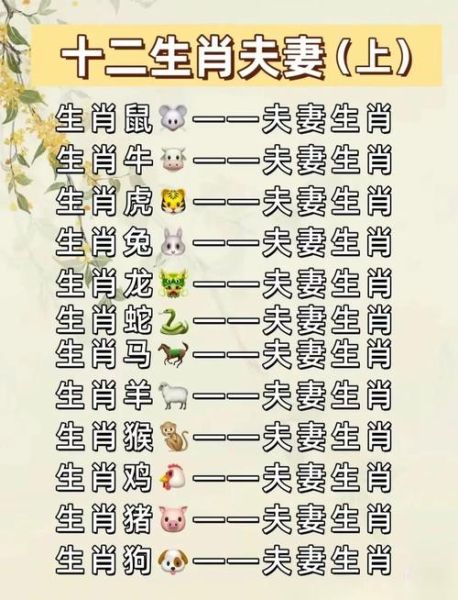 鸡兔属相相冲吗_鸡兔婚配好不好