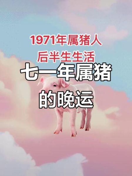 1971年属猪2024年运势_1971年属猪今年财运如何