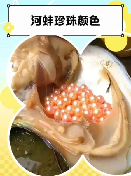 梦到河蚌里有珍珠是什么意思_如何解梦