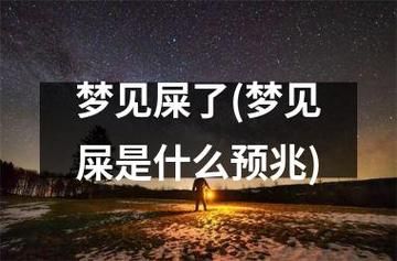 梦到锅里有屎_是什么意思
