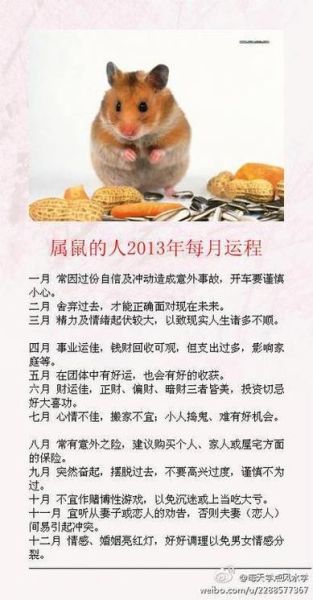 生肖鼠十年运势详解_属鼠人未来十年如何转运