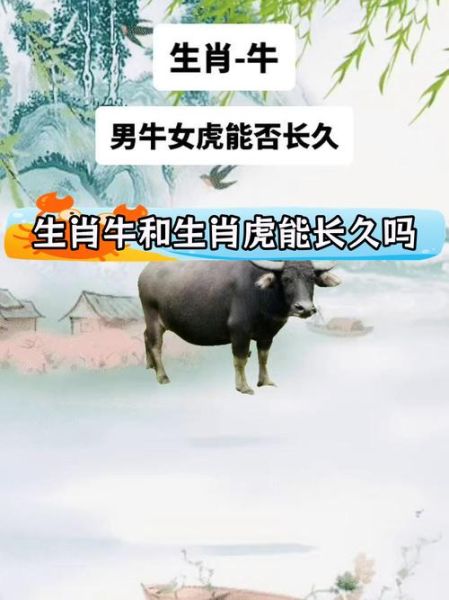 牛和虎相配财运如何_牛虎合作能发财吗