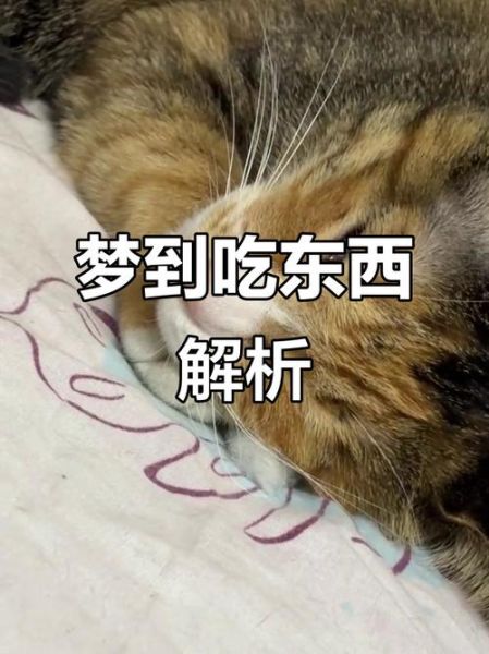 梦到吃东西是什么意思_为什么总梦见吃美食