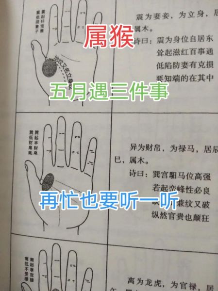 属猴的名人有哪些_属猴名人成功秘诀