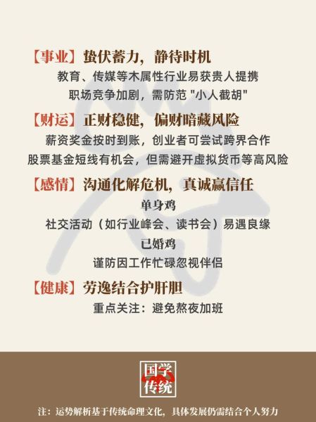 属鸡的人2024年运势如何_属鸡的人适合做什么职业