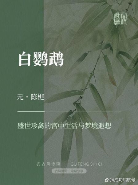 梦到白色的鸟是什么意思_白鸟入梦吉凶解析