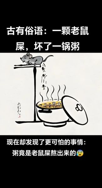 梦到老鼠屎是什么意思_梦见老鼠屎好不好