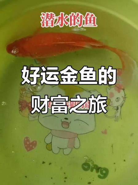 金鱼座今日财运如何_金鱼座赚钱机会在哪