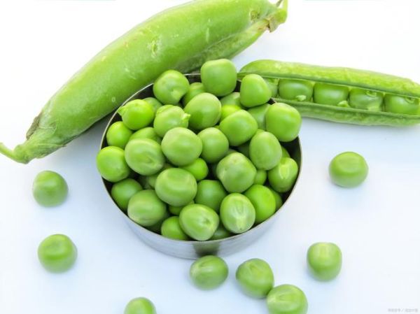梦到青豆是什么意思_梦见青豆预示什么