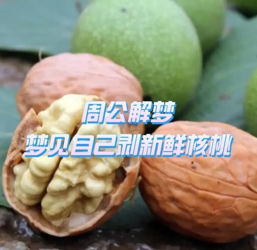 梦到摘核桃吃是什么意思_梦见核桃熟了摘着吃预示什么