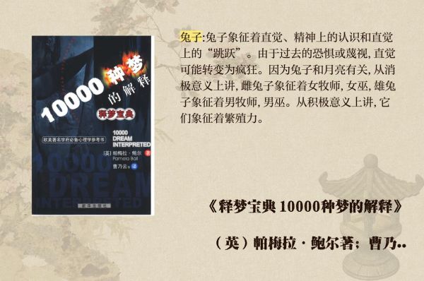 梦到黑兔是什么意思_黑兔梦境解析