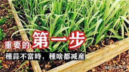 梦到拿着蒜是什么意思_梦见拿大蒜的预兆