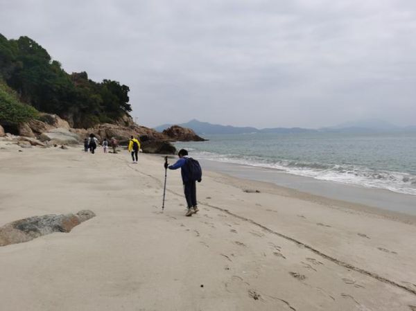 梦到海边玩是什么意思_梦到海边玩预示着什么