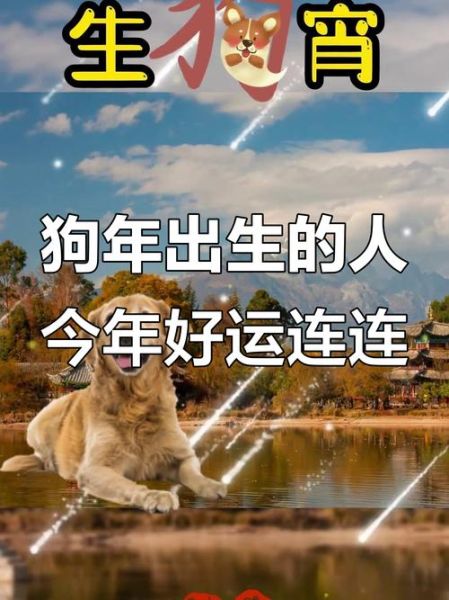 2019年属狗运势如何_属狗2019年每月运程