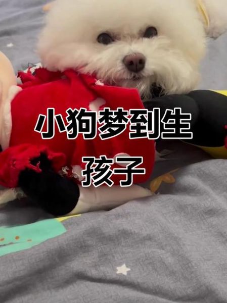 梦到小狗生崽_梦见狗生小狗是什么预兆
