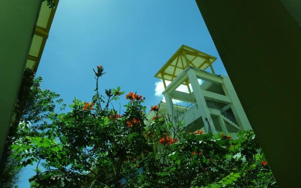 梦到天台是什么意思_梦见天台预示什么