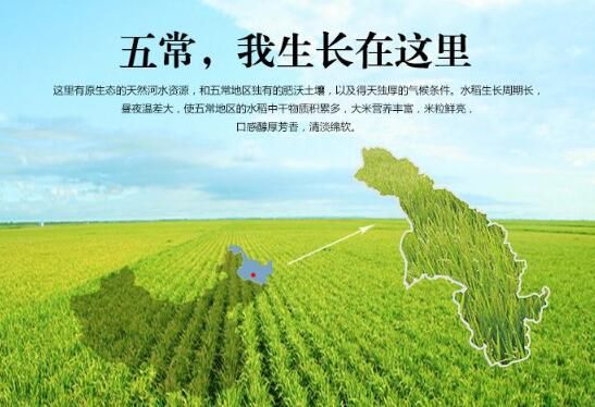 怀孕梦到大米_梦见大米生男生女