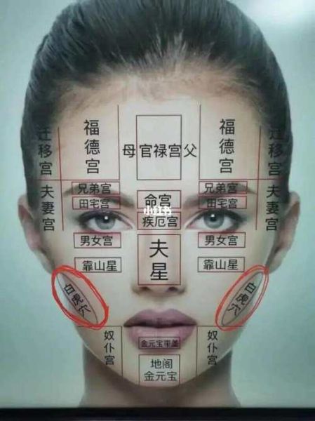 脸上看财运是真的吗_面相学财运怎么看