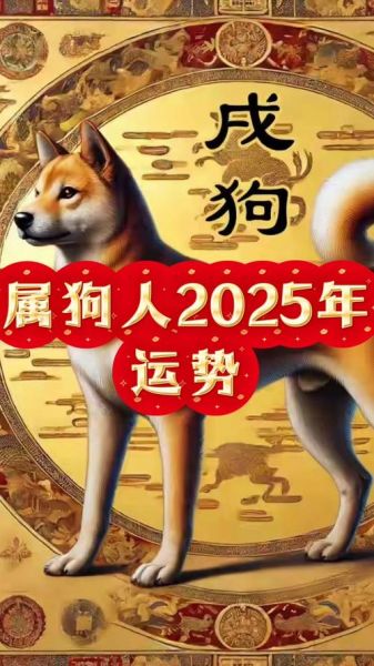 属狗2025运势如何_属狗和什么属相最配