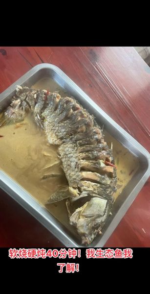 梦到锅里有鱼是什么意思_梦到锅里有鱼好不好