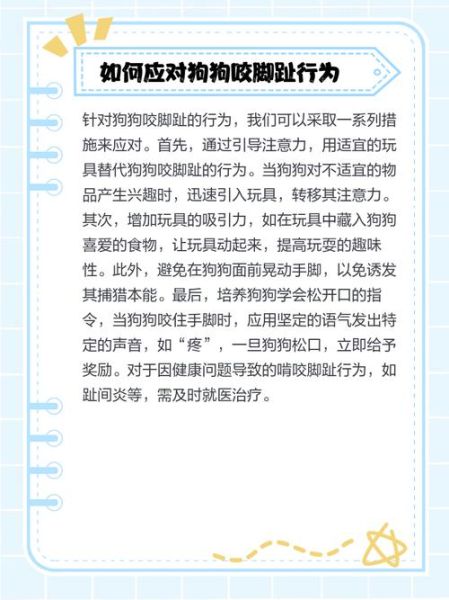 梦到被狗咬到脚是什么意思_被狗咬脚梦境解析