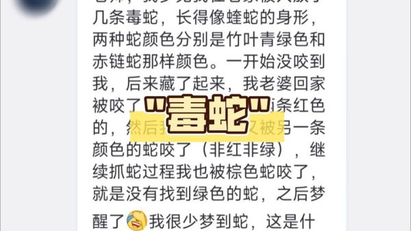 孕妇梦到被蛇咬是什么意思_孕妇梦见蛇咬预示什么