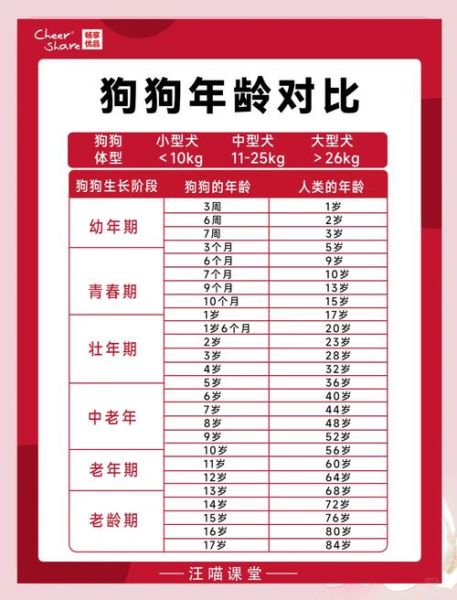 属狗的是哪几年_属狗出生年份对照表