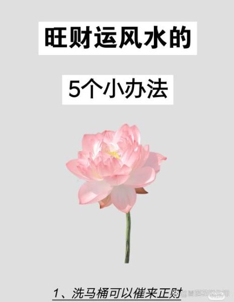 算命水财运_水命人如何招财