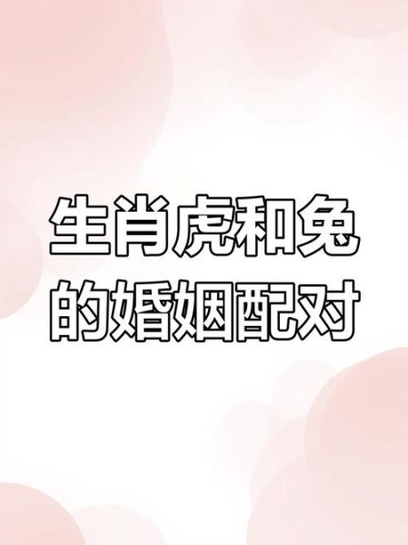 兔虎属相合不合_兔和虎相冲吗