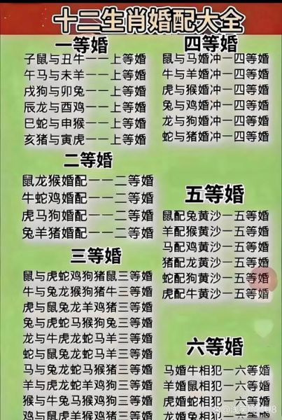 属鼠和属兔的婚配好吗_鼠兔相冲还是相合