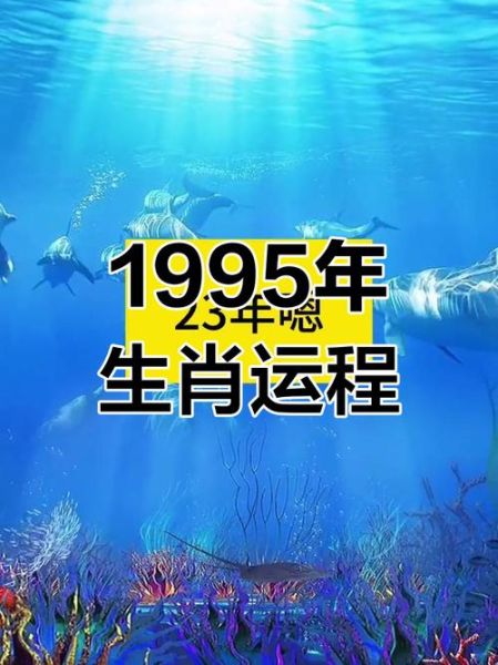1995年出生一生运势如何_1995年属猪人命运详解