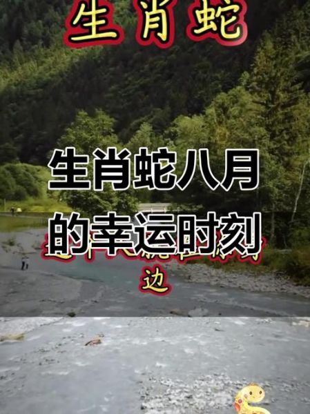 属蛇人八月运势_2024年属蛇八月财运如何