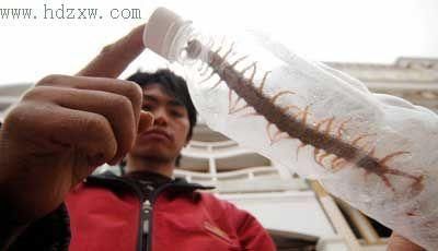 梦到无公是什么意思_梦到无公预示着什么