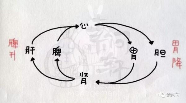 梦到打脾是什么意思_梦到打脾预示什么