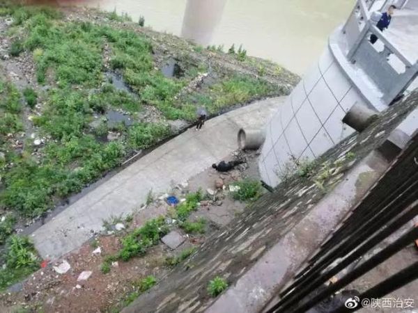 梦到爸爸腿断了_有什么预兆