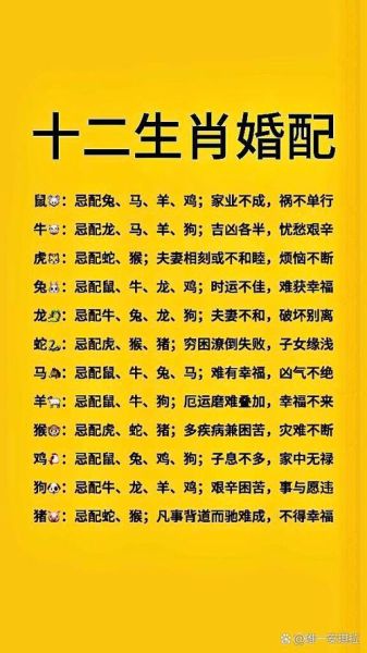 属相命数怎么算_属相命数准不准