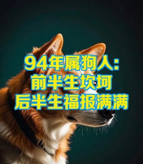94年属狗女2024运势_94年属狗女今年财运如何