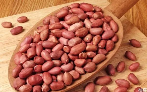 梦到花生是胎梦吗_怀孕初期梦到花生预示什么